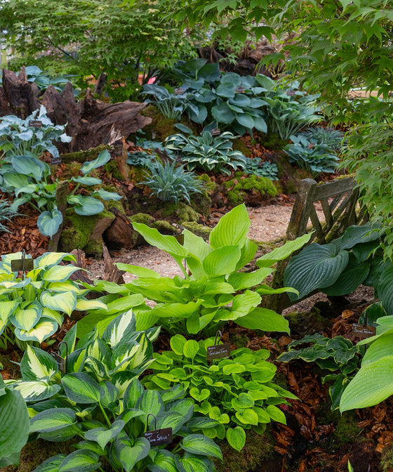 What a Bad Growing Season Teaches You