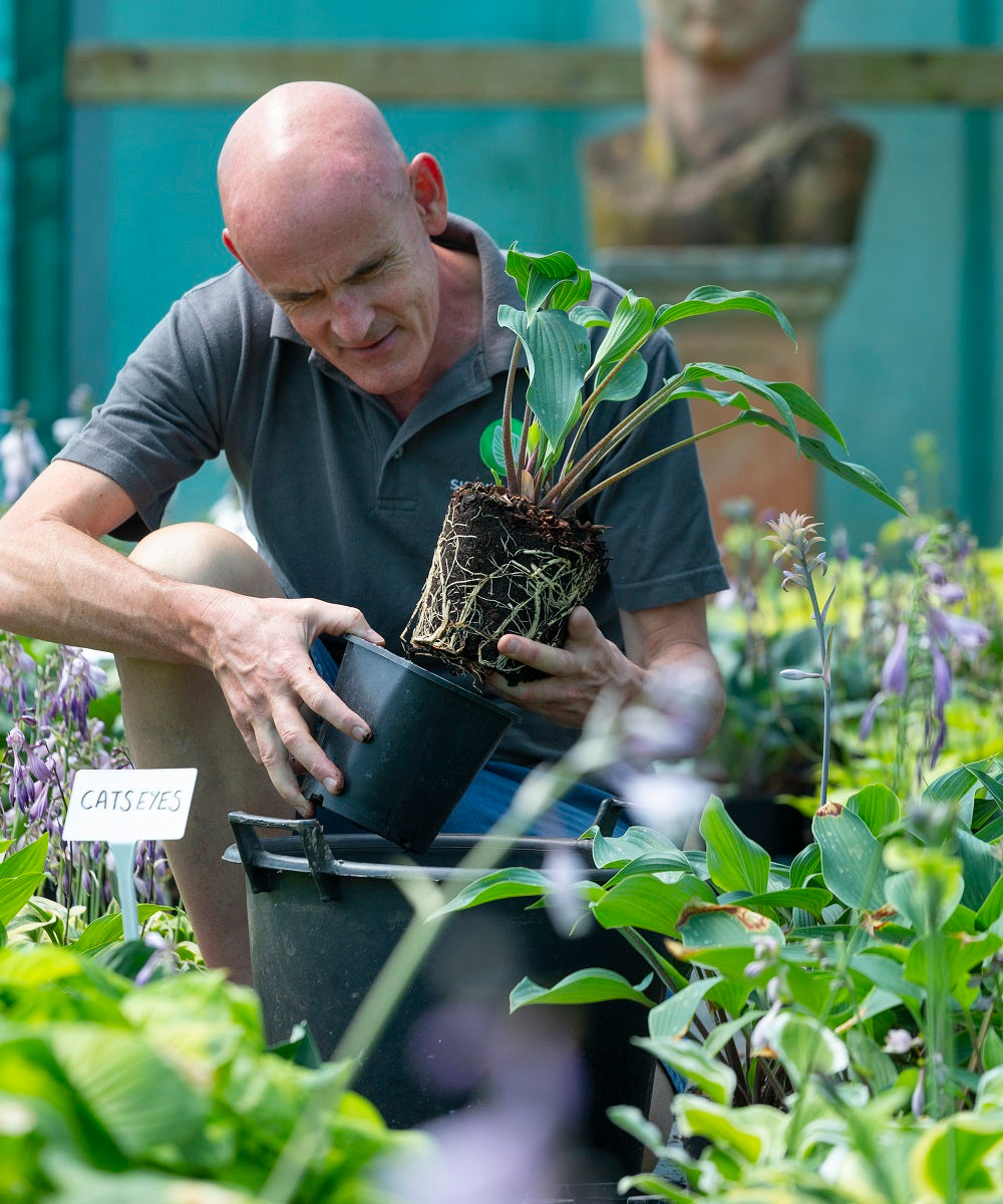 From Soil to Sale: How We Grow at Our Nursery