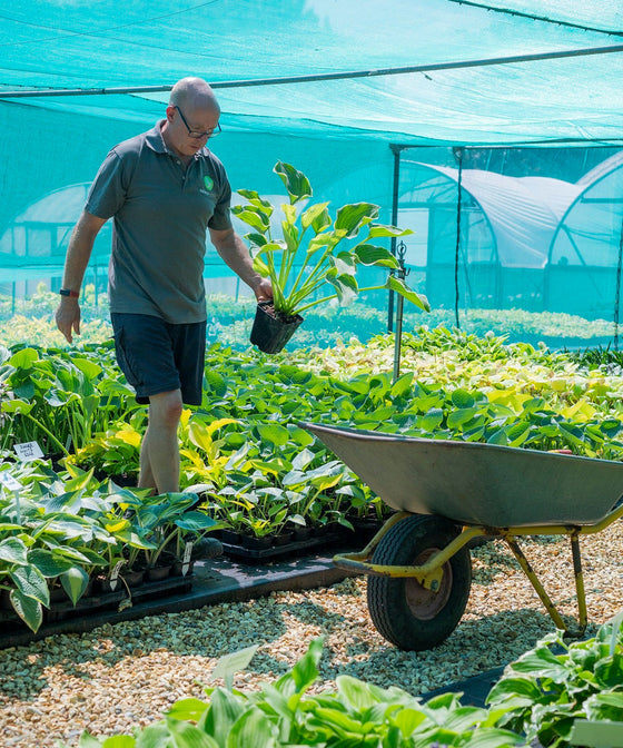 Martin's Pest Control Top Tips