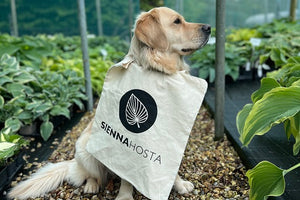 Sienna Hosta Tote Bag