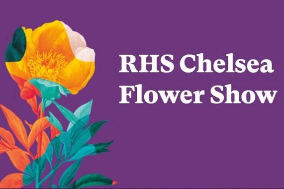 Chelsea Hosta Selection
